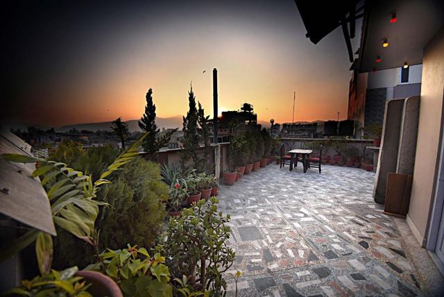 The hotel rooftop terrace at sunset, with plants and city views